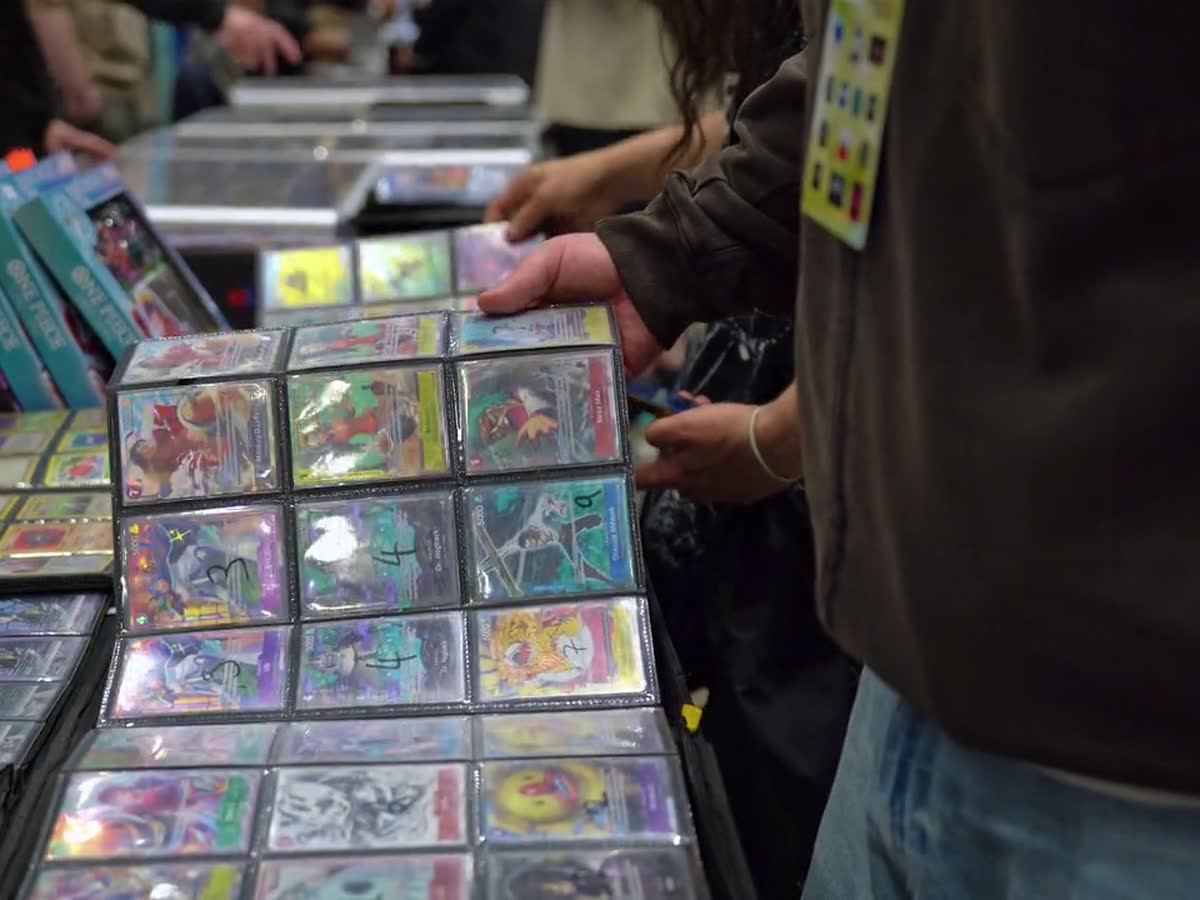 A vendor lifting binder pages of sleeved cards out for a customer to work through.